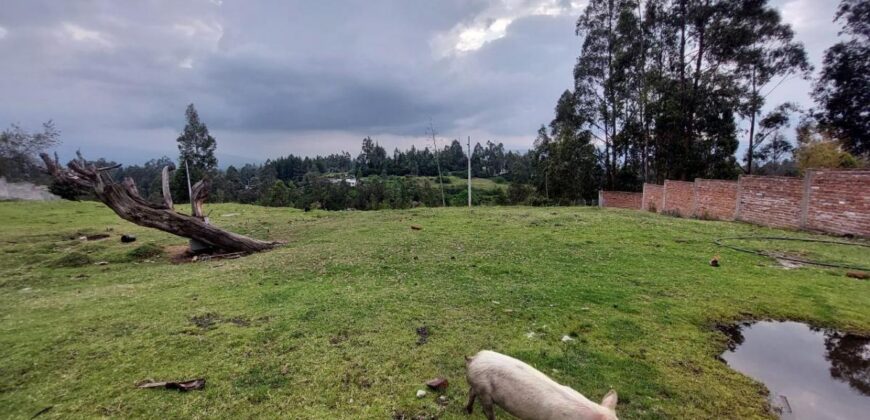 Hermoso Terreno en Alangasi